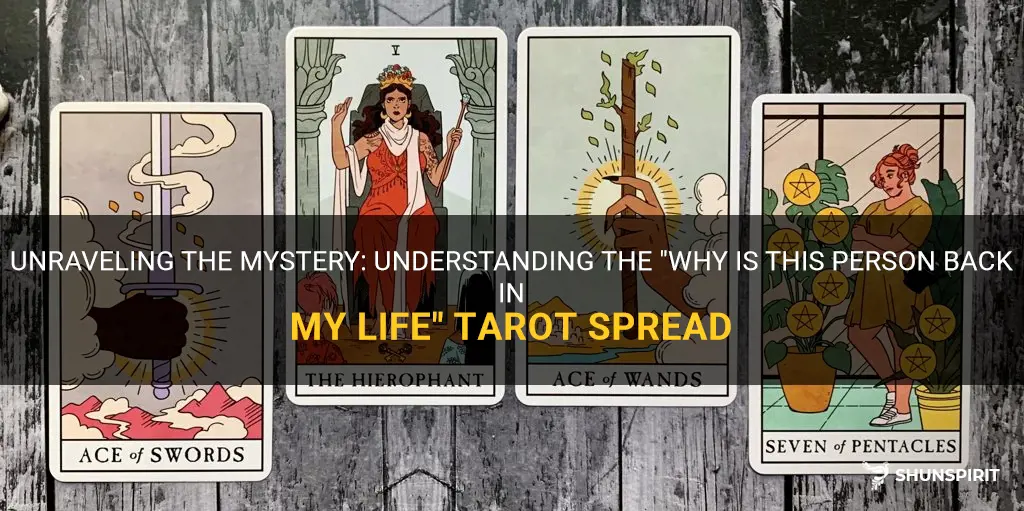 why is this person back in my life tarot spread