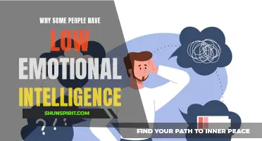 Exploring the Reasons Behind Low Emotional Intelligence in Individuals