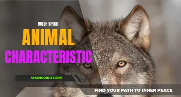 The Powerful and Mysterious Traits of the Wolf Spirit Animal
