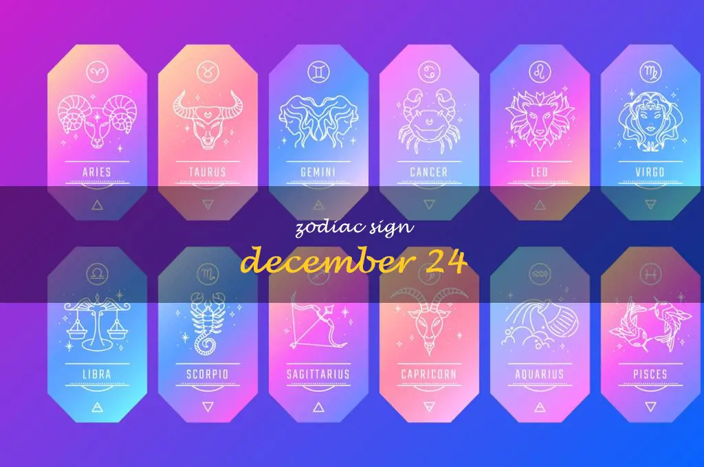 zodiac sign december 24