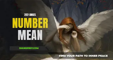 Uncovering the Meaning of the 222 Angel Number