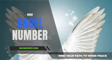 Uncover the Hidden Meaning of the 9992 Angel Number
